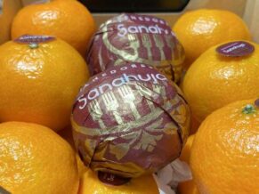 Capsa de mandarines 'Sanahuja' 5 Forquilles - 20 unitats - 2 kg